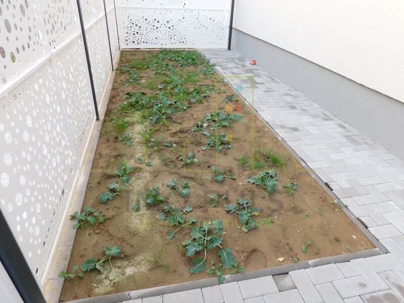 Gradina proprie. Bucatarie separata.